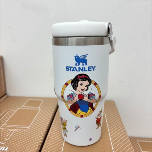 Snow White 20oz Stanley Tumbler - PST03